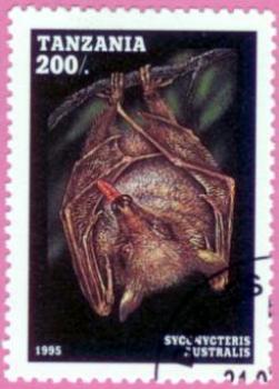 Fledermaus Briefmarke 5
